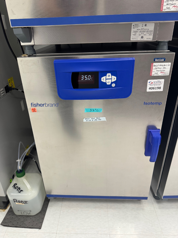 Image of Fisherbrand Isotemp 180L Gravity Incubator
